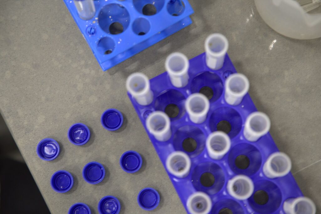 A top-down view of a gray table surface with plastic test tube racks, holding empty test tubes, alongside scattered blue caps.